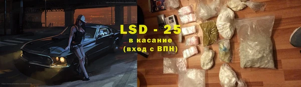 дурь Няндома