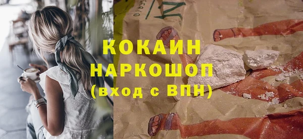 дурь Няндома